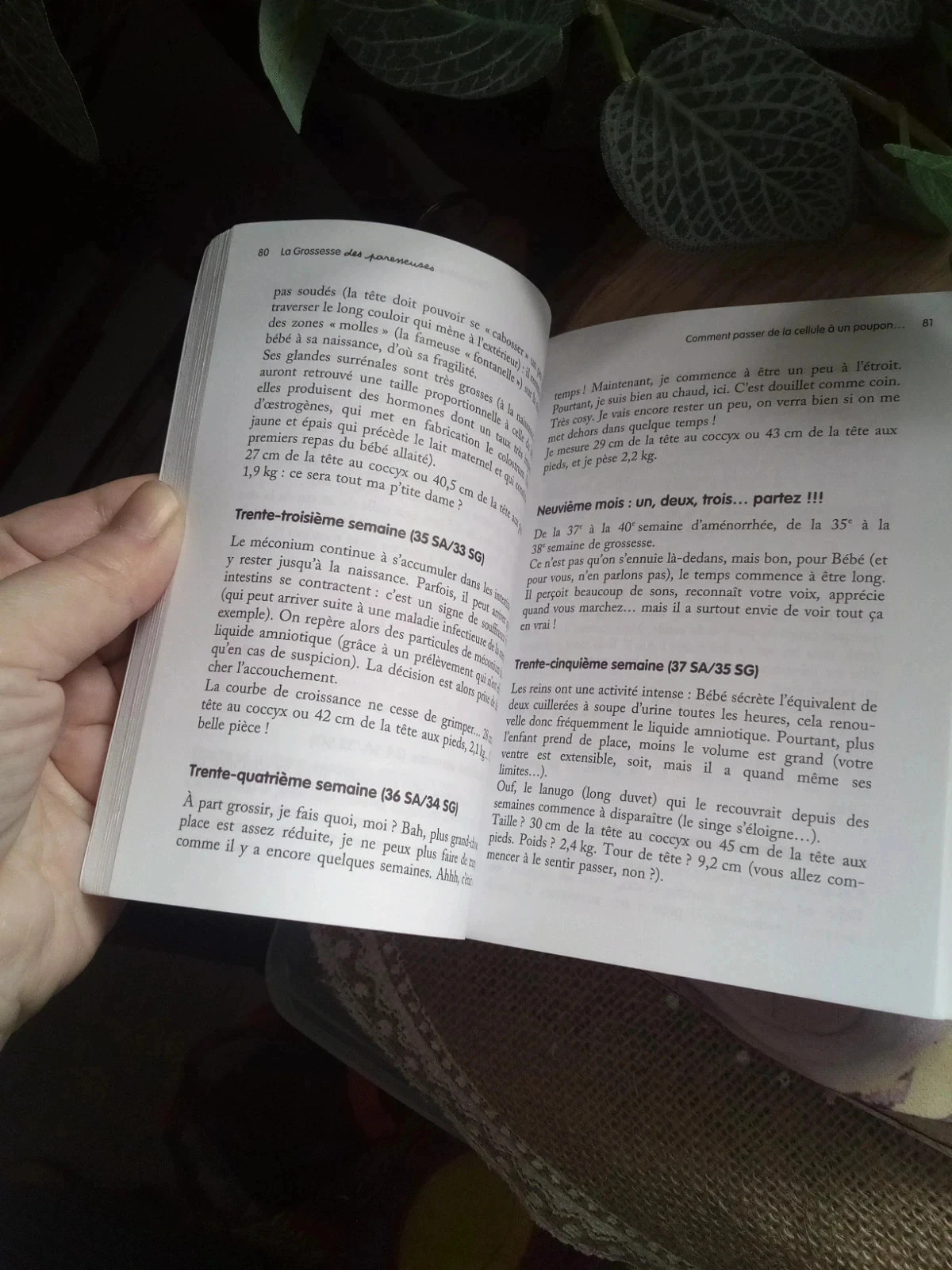 Pretty BoLa pendant necklace + pregnancy book – photo 10